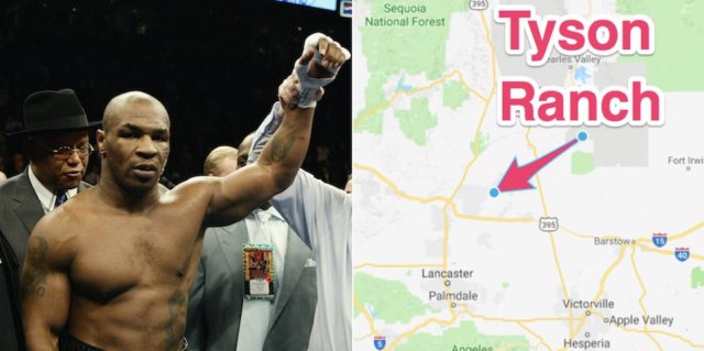 mike-tyson-wants-to-grow-marijuana-and-offer-premium-glamping-on-a-40-acre-plot-of-land-in-southern-california.png